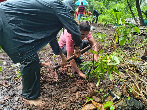 Tree Plantation 2026 – Wadhwa