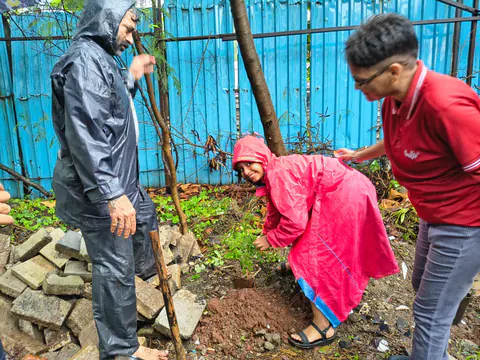 Tree Plantation 2026 – Wadhwa