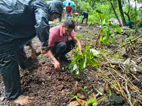 Tree Plantation 2026 – Wadhwa