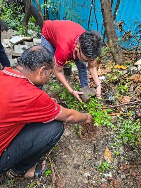 Tree Plantation 2026 – Wadhwa