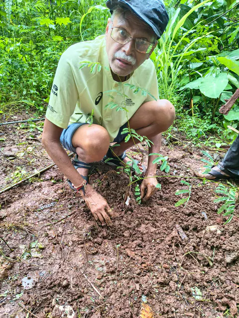 Tree Plantation 2026 – Wadhwa