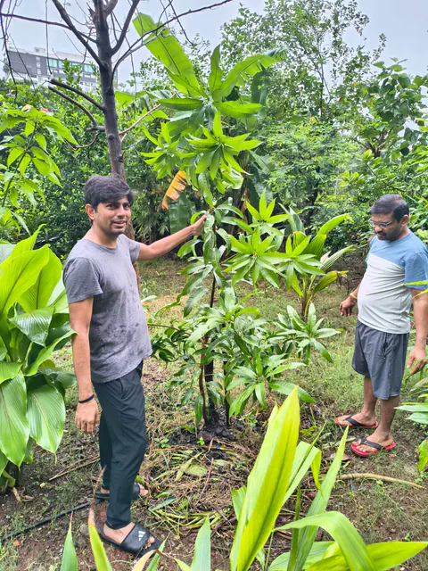 Tree Plantation 2026 – Wadhwa