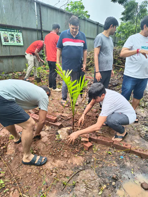 Tree Plantation 2026 – Wadhwa