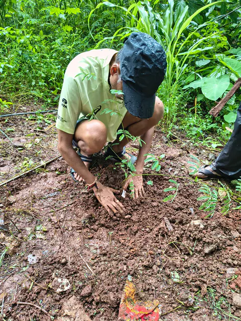Tree Plantation 2026 – Wadhwa