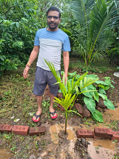 Tree Plantation 2026 – Wadhwa