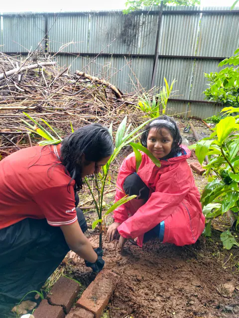 Tree Plantation 2026 – Wadhwa