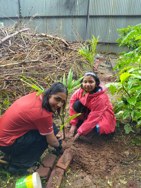Tree Plantation 2026 – Wadhwa