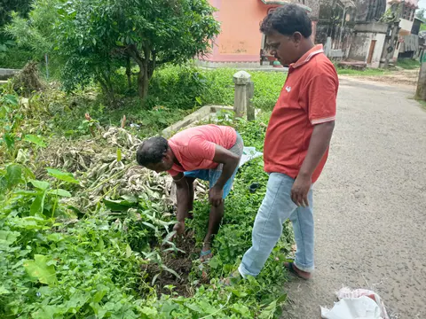 Tree Plantation 2026 – West Bengal