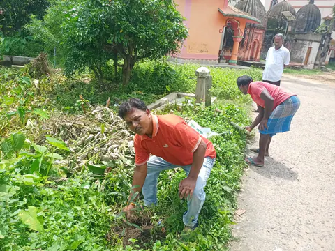 Tree Plantation 2026 – West Bengal