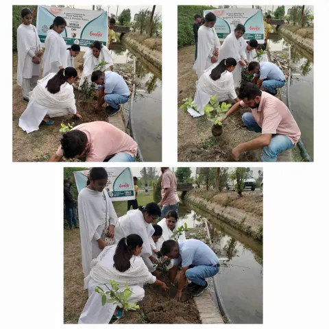 World Environment Day 2024 – Uttar Pradesh